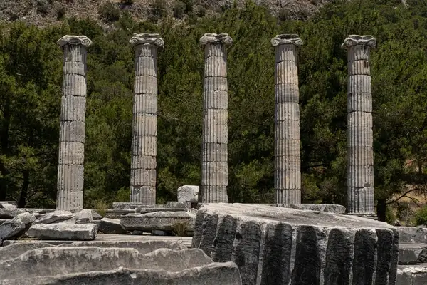 Priene, Miletus, Didyma (PMD) VIP Tour